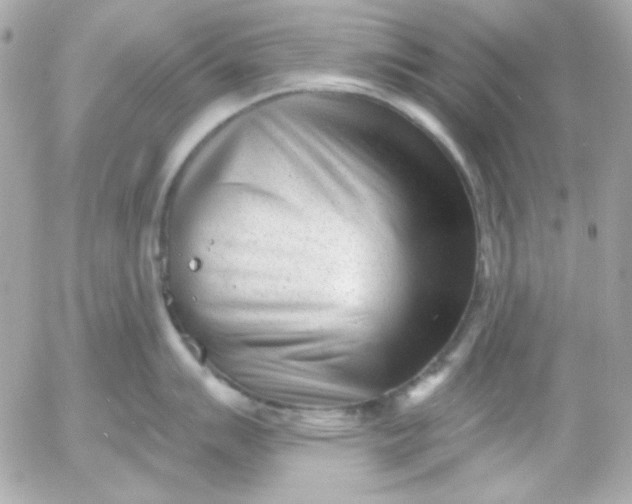 X0000052941007200507221142