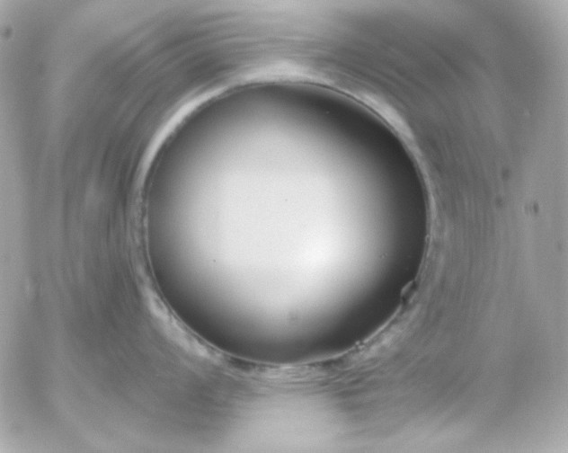 X0000052941008200507221142