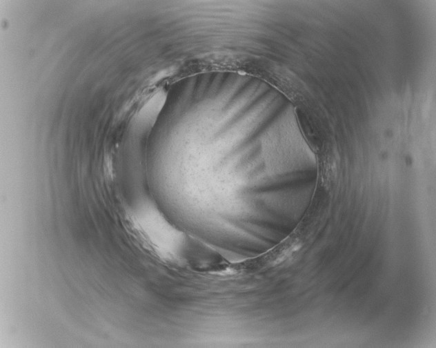 X0000052941010200507221141