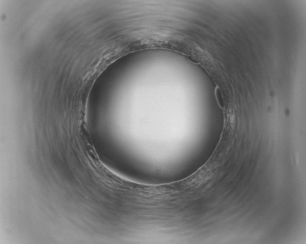 X0000052941012200507221141