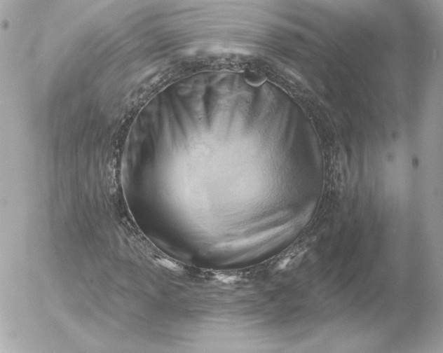 X0000052941013200507221141