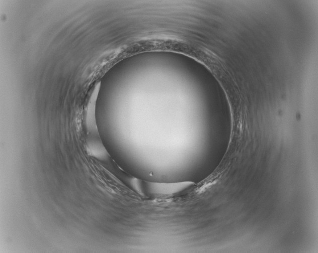 X0000052941014200507221141