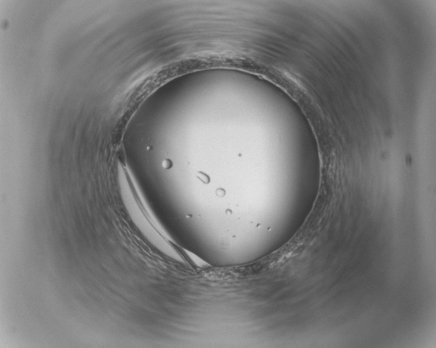 X0000052941015200507221141