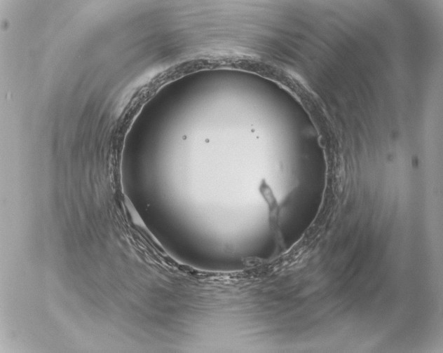 X0000052941016200507221141