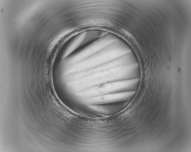 X0000052941019200507221141