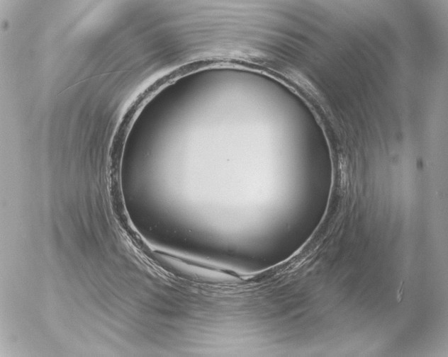 X0000052941020200507221141