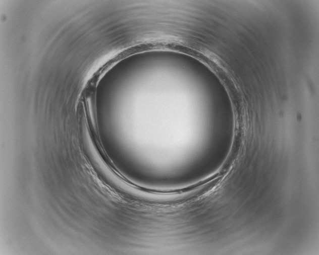 X0000052941022200507221141