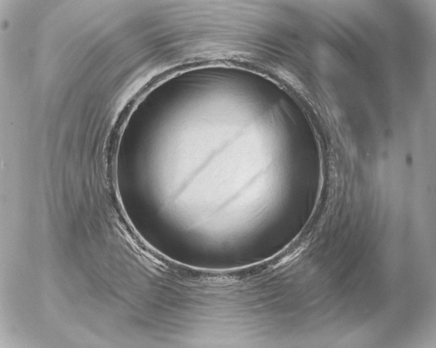 X0000052941023200507221141