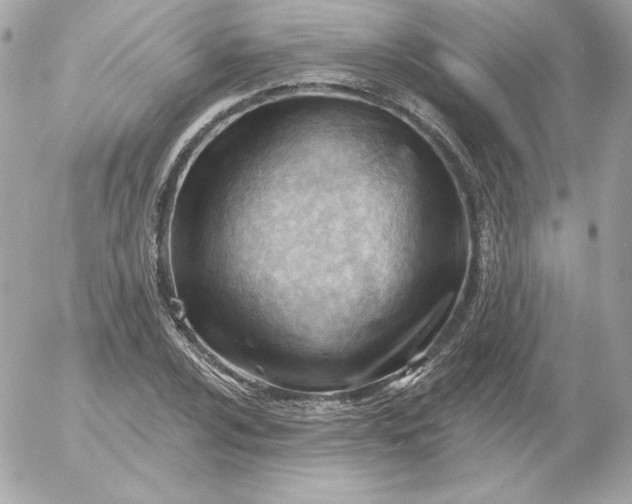 X0000052941024200507221141