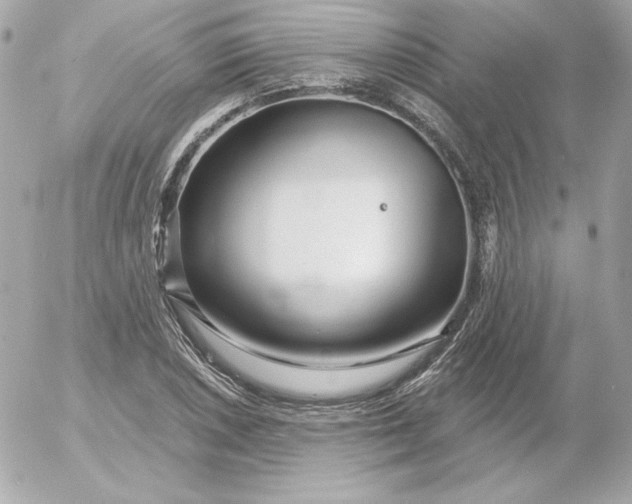 X0000052941026200507221141