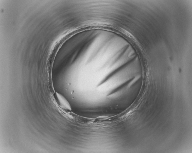 X0000052941027200507221141