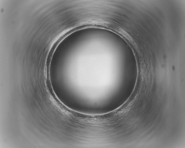 X0000052941028200507221141