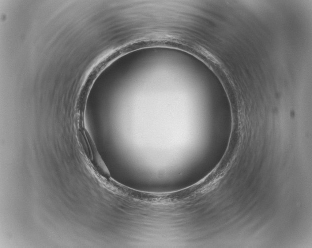 X0000052941029200507221141