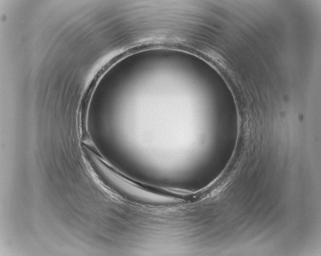 X0000052941030200507221141