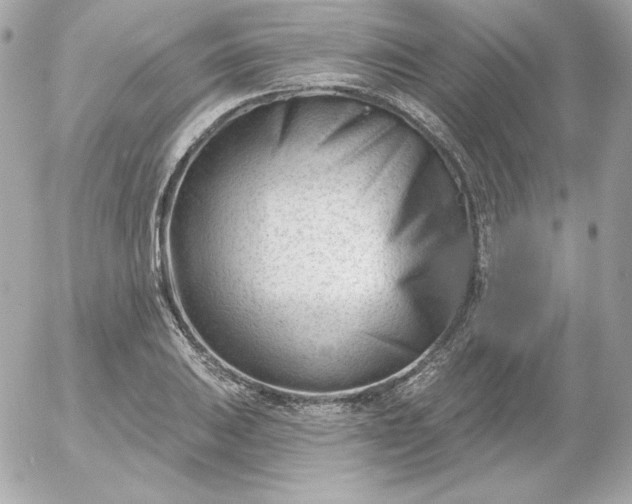 X0000052941031200507221141