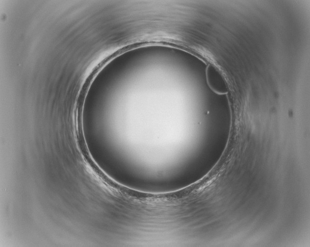 X0000052941032200507221141