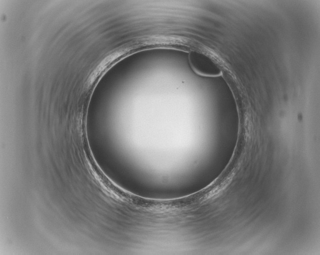 X0000052941033200507221141