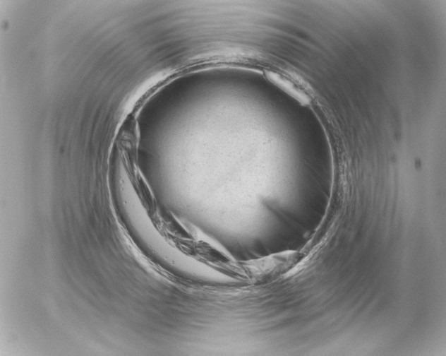 X0000052941034200507221141