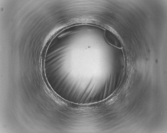 X0000052941035200507221141