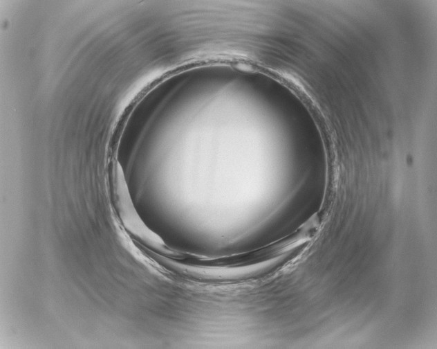 X0000052941038200507221141