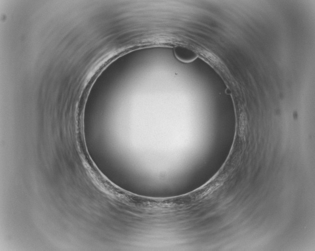 X0000052941039200507221141