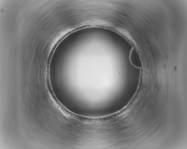 X0000052941040200507221141