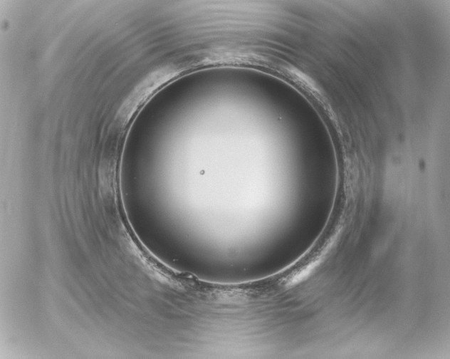 X0000052941041200507221141