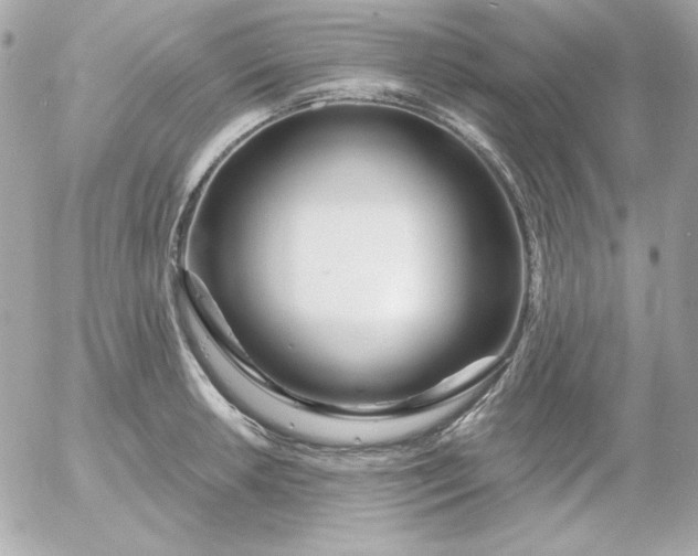 X0000052941042200507221141