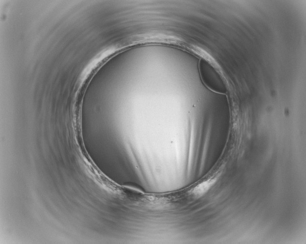 X0000052941043200507221141