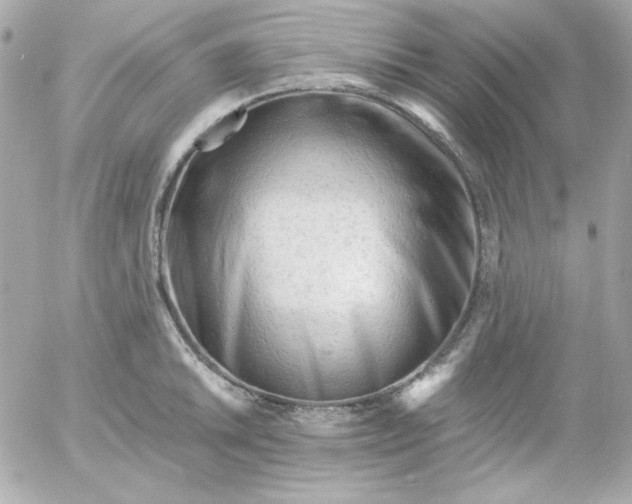 X0000052941046200507221141