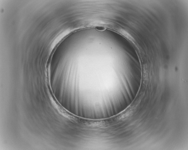 X0000052941047200507221141