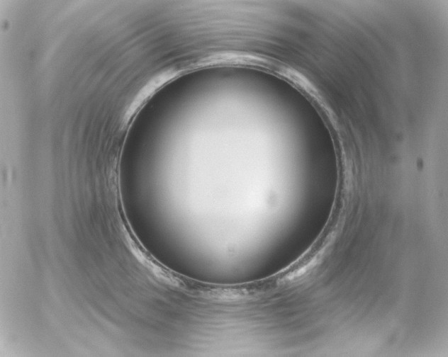 X0000052941049200507221141