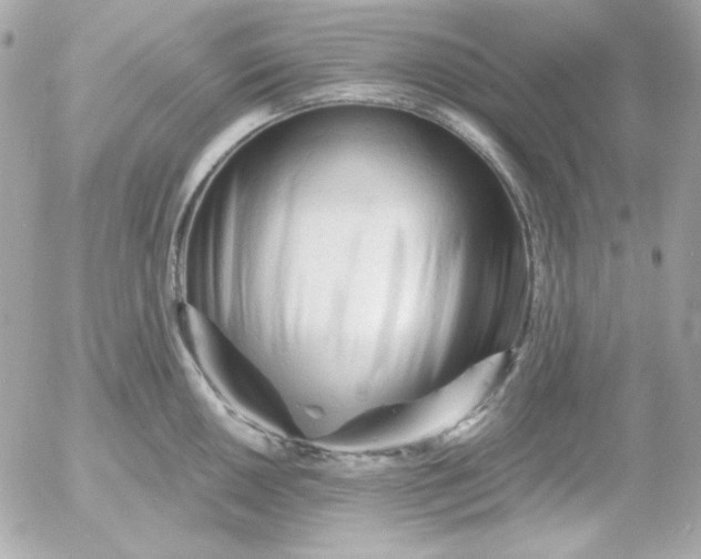 X0000052941050200507221142