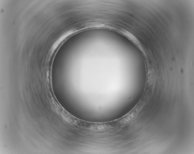 X0000052941051200507221142