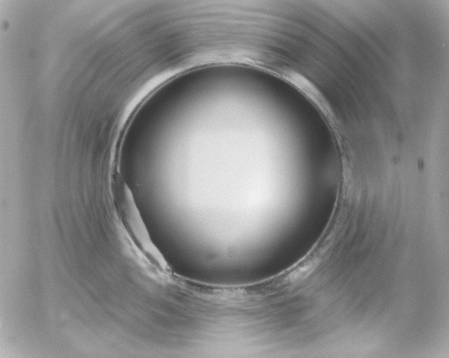 X0000052941052200507221142