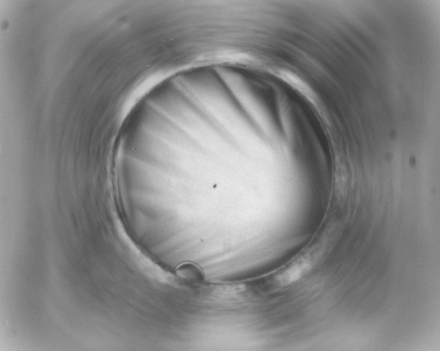 X0000052941055200507221142