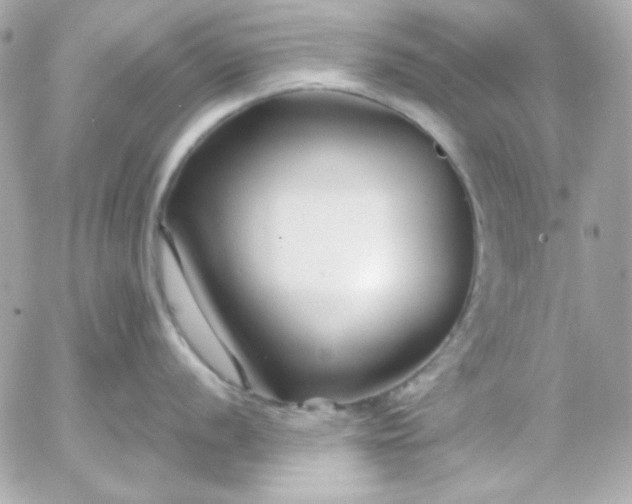 X0000052941056200507221142