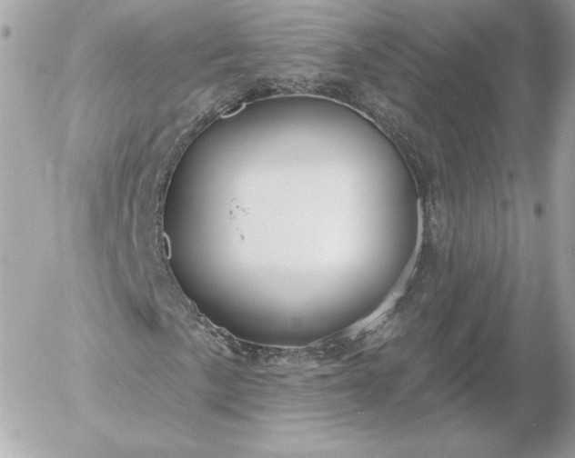 X0000052941057200507221141