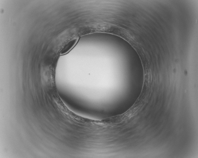 X0000052941058200507221141