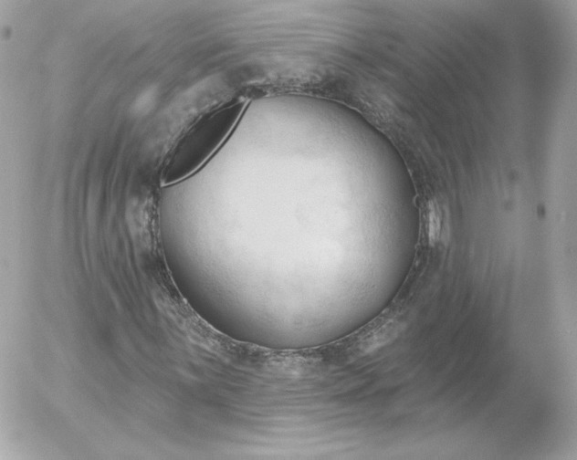 X0000052941059200507221141