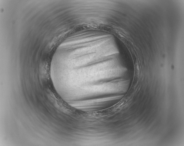 X0000052941060200507221141