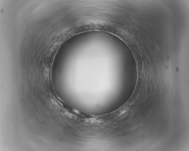 X0000052941061200507221141