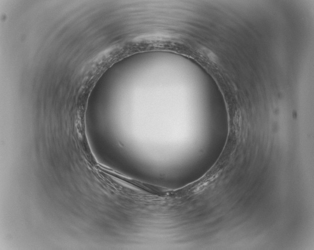 X0000052941062200507221141