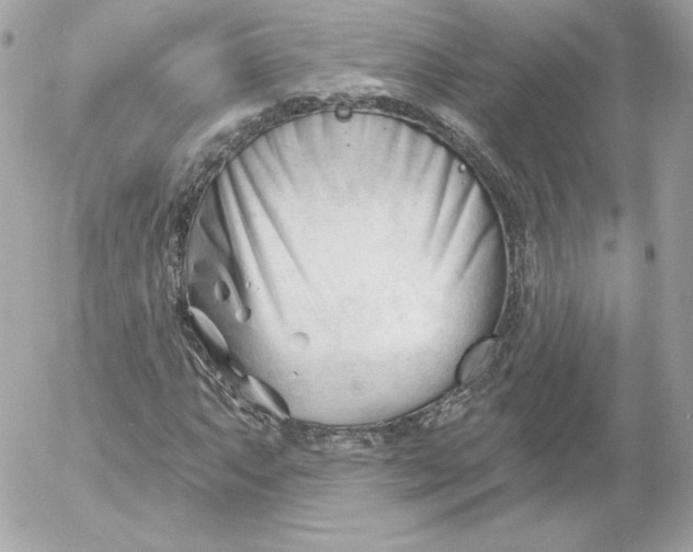 X0000052941063200507221141