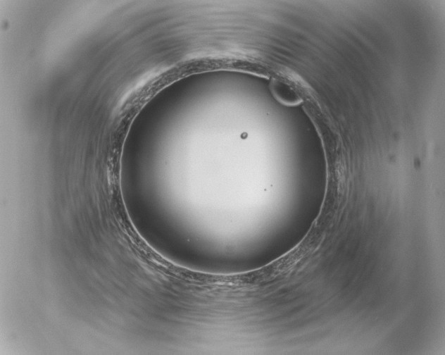 X0000052941064200507221141