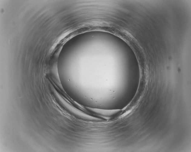 X0000052941065200507221141