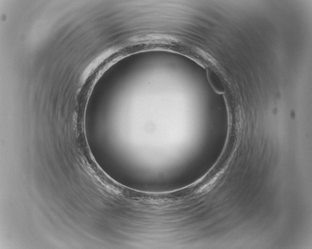 X0000052941066200507221141