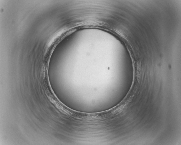 X0000052941067200507221141