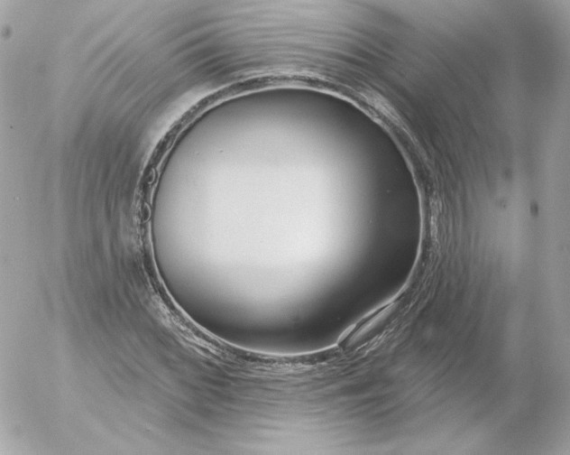 X0000052941068200507221141