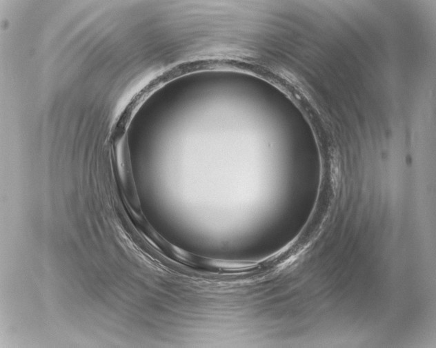 X0000052941069200507221141